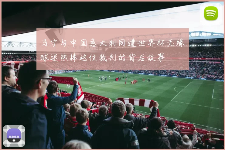 马宁与中国意大利同遭世界杯无缘球迷热捧这位裁判的背后故事